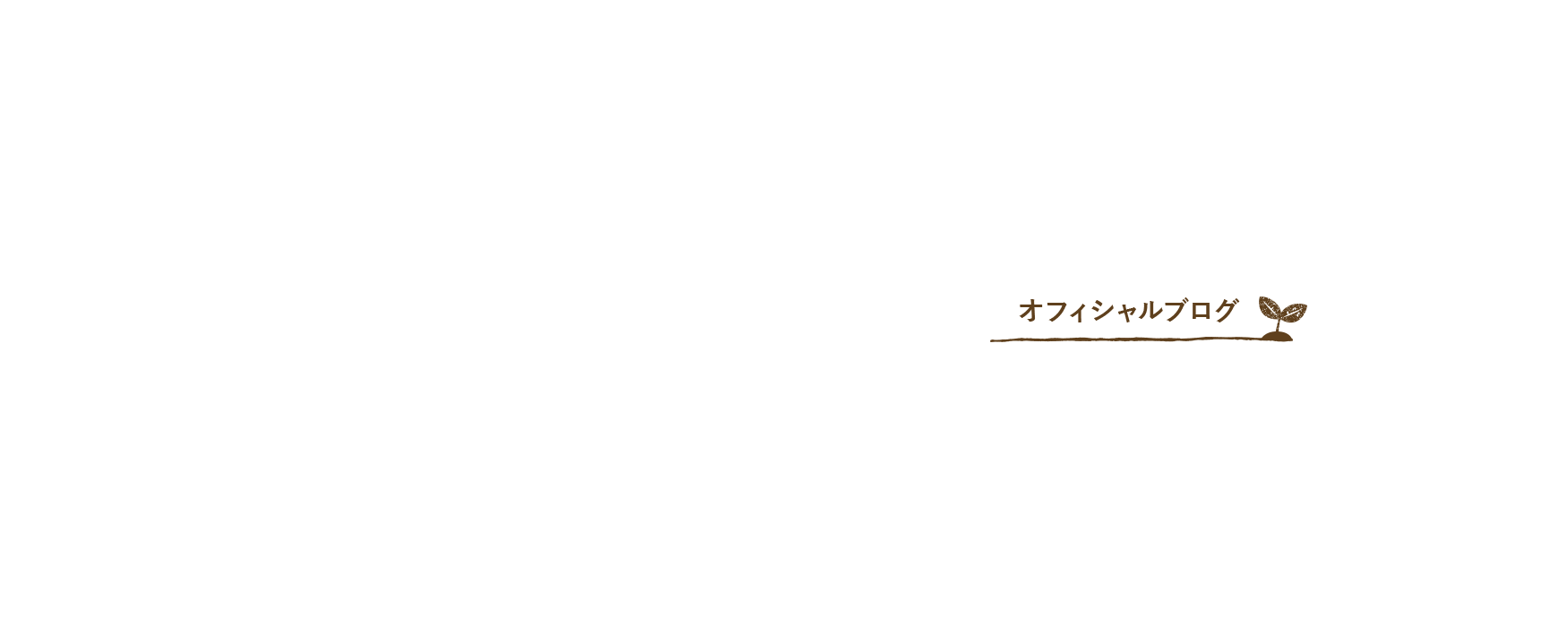 オフィシャルブログ